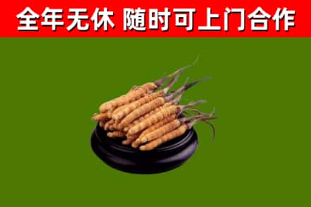 郧阳烟酒回收冬虫夏草.jpg